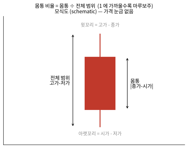 몸통 비율의 분자와 분모를 표시한 모식도